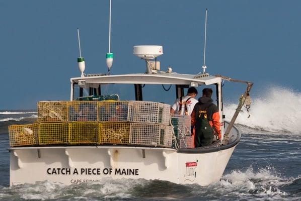 Catch a Piece of Maine boat with Captain John and Brendan Ready