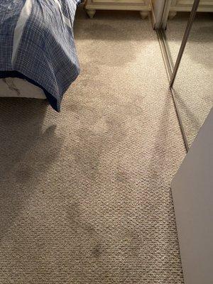 Guest bedroom carpet soaked with water