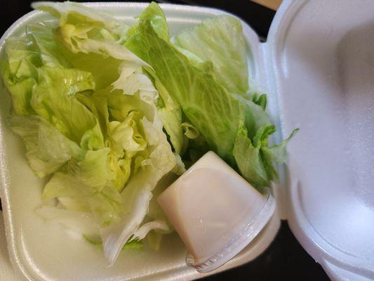 Salad that came with the chicken teriyaki and katsu combo.