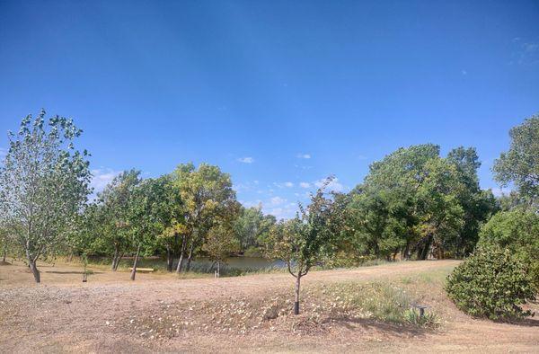 Lake on the property