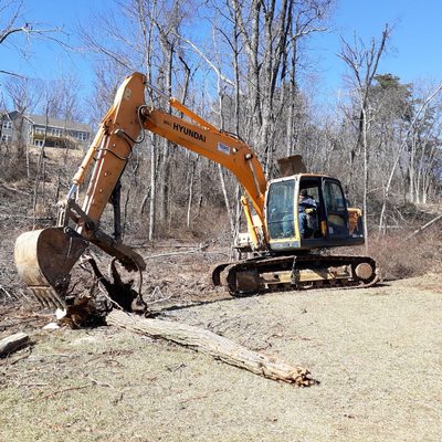 Land clearing