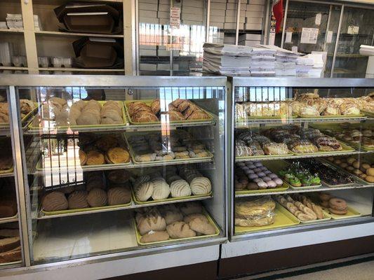 Bakery display case with lots of Pan Dulce!