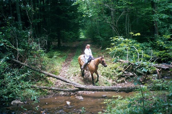 Extensive access to trails.