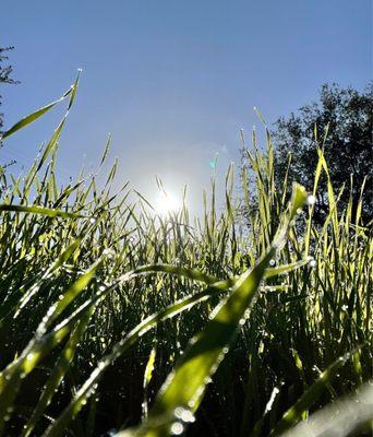 Some sun appears after a couple of days of heavy rain.