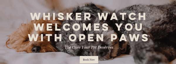 Whisker Watch Pet Care