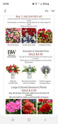 Memorial Day Weekend Planting Sale.  5/28/2021