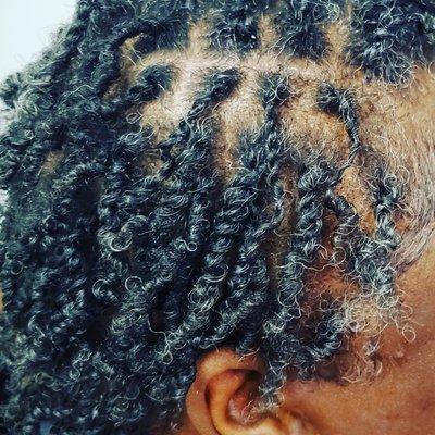 Twist Locs