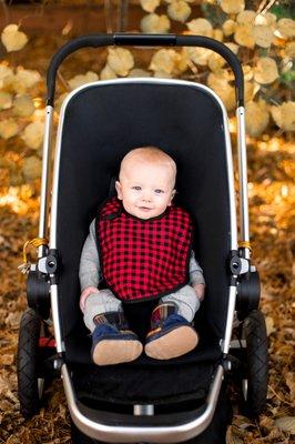 Buffalo Plaid Tuck & Tidy Bib