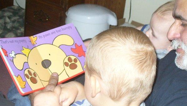 A grandpa reading to his 1- and 2-year-old boys.