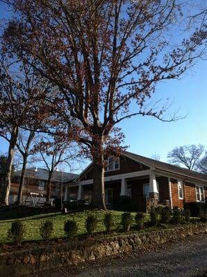 Dead Oak in tight spot makes it a challenge!