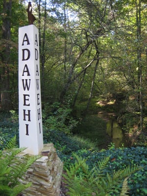 Along the Walking Trails at Adawehi