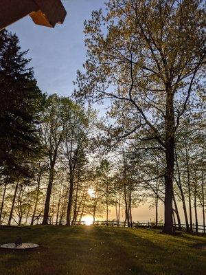 Bentley Tree Care, LLC