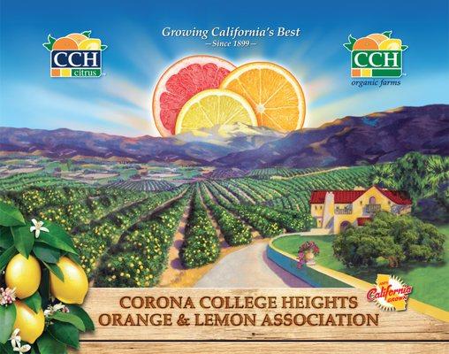 Corona College Heights