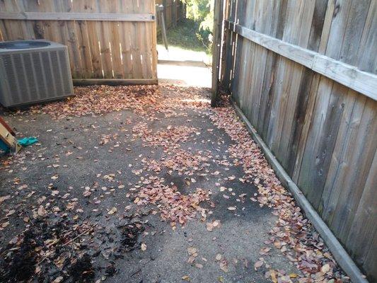 Leaves on porch