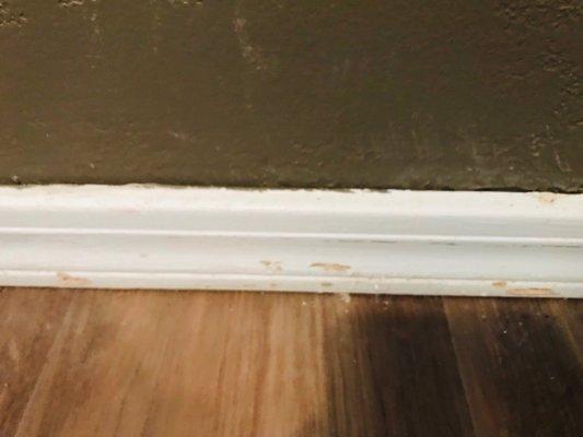 Baseboard