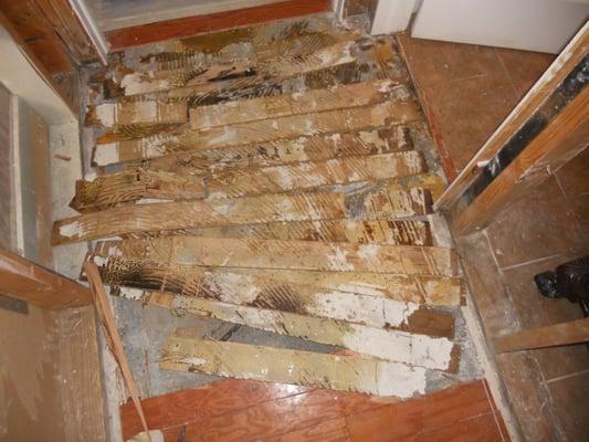 Water/Mold Damaged Wood Flooring