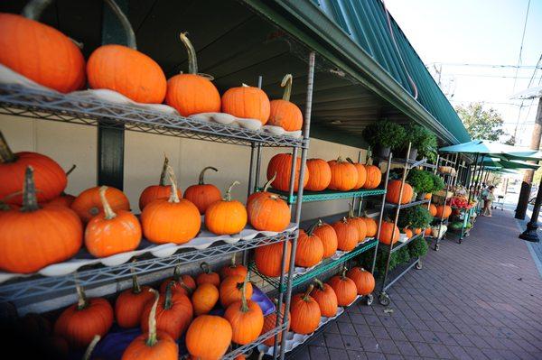 Fairway Market, a five minute walk.