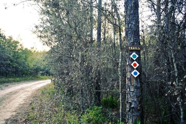 Entry to trails at Black Prong Trailhead.