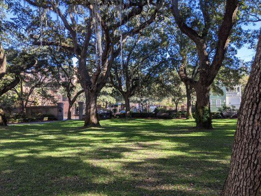 The Cistern - College of Charleston