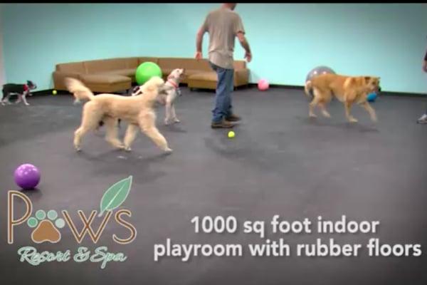 1000 sq ft indoor playroom with rubber floors.