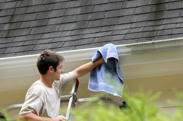 Gutter cleaning before and after.