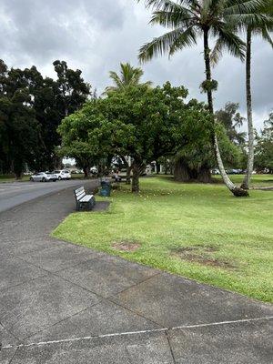 Hilo Bay