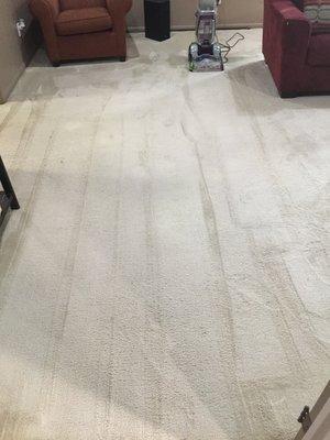 After picture of garland home; 2 kids, 2 pets and lots of stains.