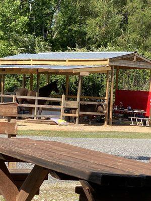 Hitchin Post Corral and Campground RV Park