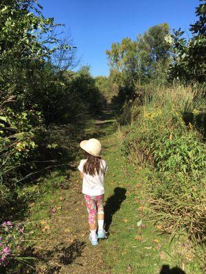 Trail through prairie & marsh