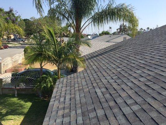 New roof compliments there beautiful palm trees