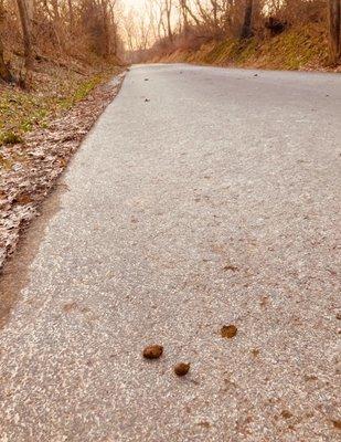 Chester Valley Trail - East Whiteland entrance.  Please clean up and be a decent person!