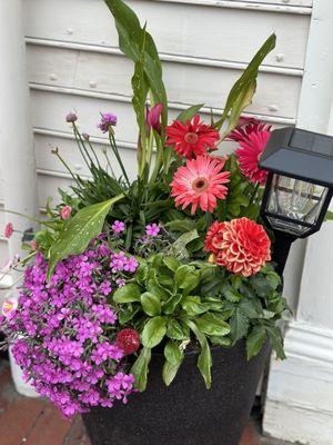 Front door spring flowers