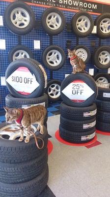 They are a pet-friendly service station.