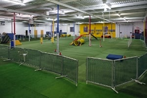 Main agility room