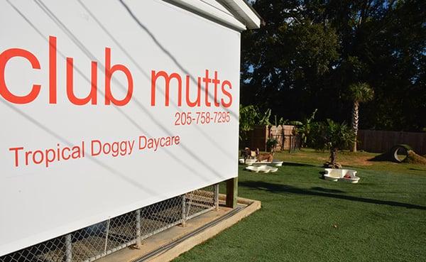 Club Mutts, Tropical Doggy Daycare