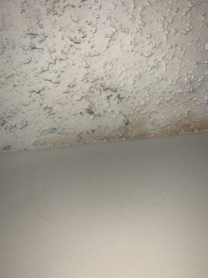 Mildew and mold (confirmed by the health department) I was forced to live with for a year in their Park at Hoover property