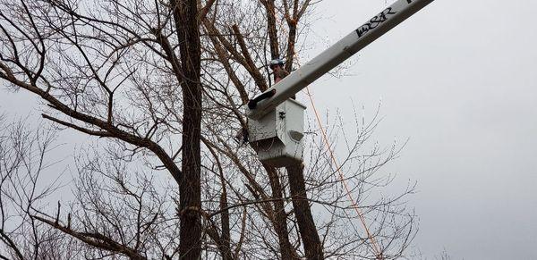 D&R Tree Service