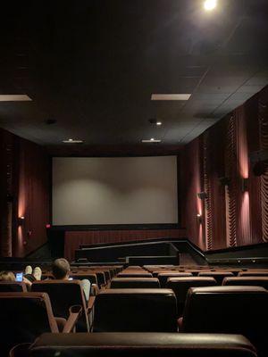 Inside the theater of what it looks like. Small medium sized screen & Retro old speakers.