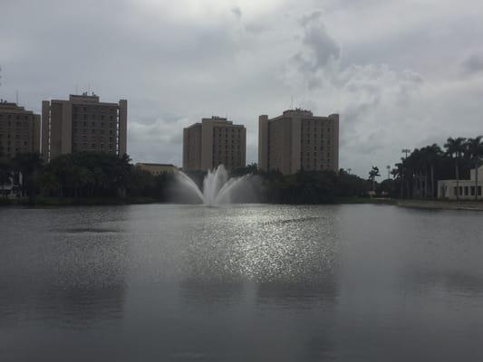 University of Miami