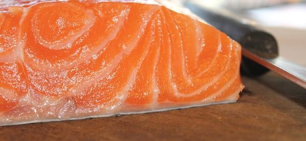 Fresh salmon!