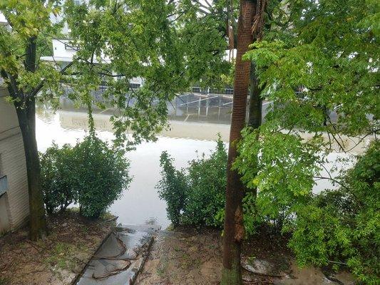 The water just kept rising until Freedom Center was just a swimming pool center