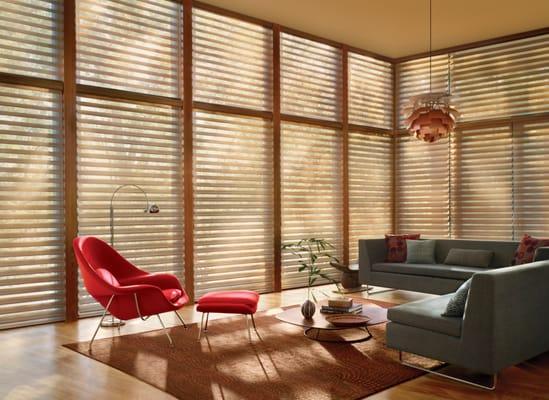 Hunter Douglas Silhouettes keep out the glare with style.