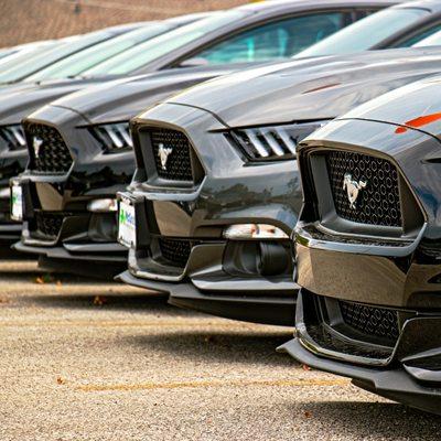 Ford Mustang Inventory