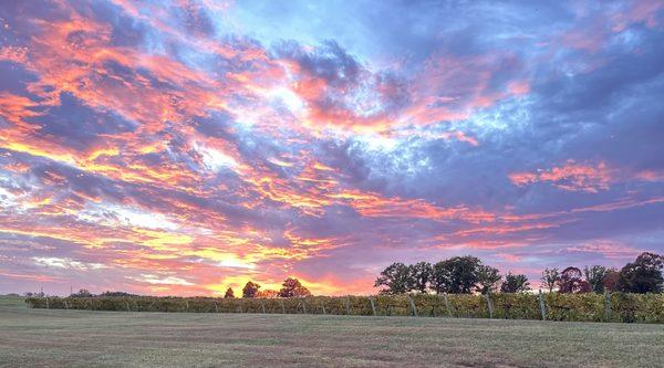 A beautiful unset over the vineyard