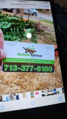 Neftali Ochoa Landscaping