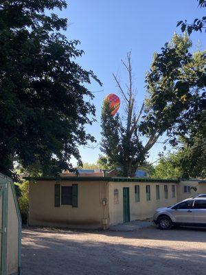 The perfect location to see the balloons fly overhead when you're at Liz Sanchez Stables