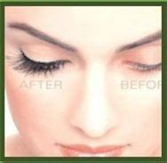 Chic Lash & Spa