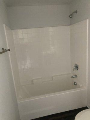 Master bathtub/shower