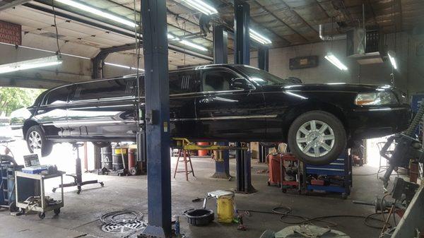 Yes we can work on any car or truck!!