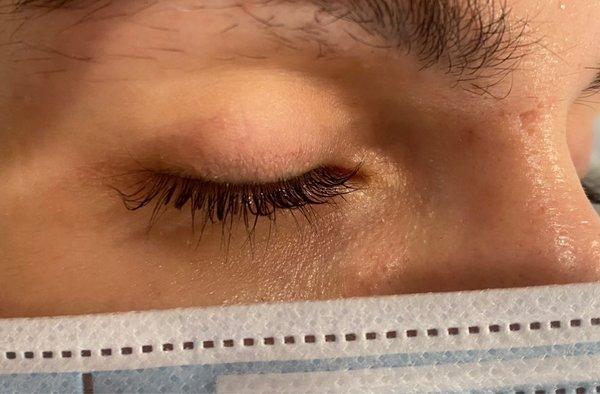 Elleebana Lash Lift